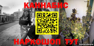 МДПВ Дубна