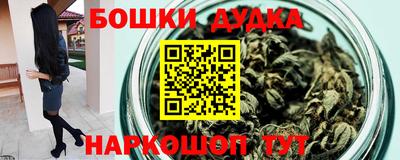 МДПВ Дубна
