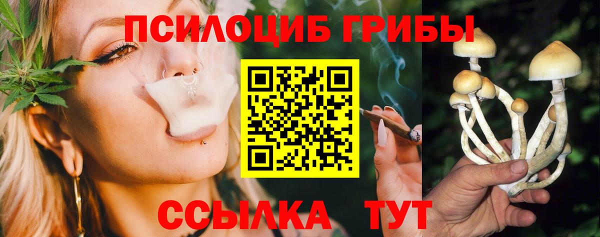 Чебоксары  Псилоцибиновые грибы прущие грибы  Вход с VPN 